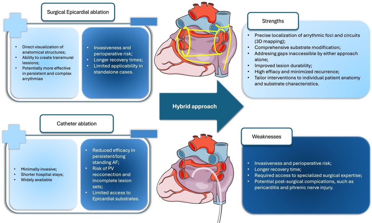 RLitwinowicz's tweet photo. 🚀 It’s finally here!

The long-awaited Position Paper from the Polish team leading Europe in hybrid treatment of atrial fibrillation 🫀

Proud to see this milestone published by the Polish Society of Cardiothoracic Surgeons & the Heart Rhythm Association of the Polish Society of Cardiology — setting a new benchmark for integrated AF care.

📄 Read here: https://t.co/m9X7F1v2gx

#AtrialFibrillation #HybridAF #CardiacSurgery #Electrophysiology #Cardiology #AFib