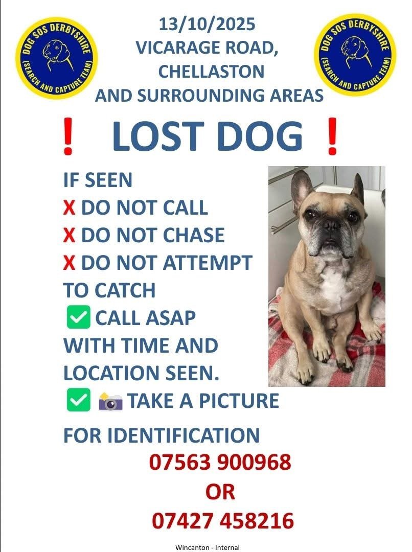 millypod1's tweet photo. 🆘13 OCT 2025 #Lost Jaxon #ScanMe #STOLEN??
French Bulldog Male
#Chellaston #Derby #Derbyshire #DE73
Escaped from home. No sightings. Dog SOS Derbyshire supporting owner. Tracker dog indicated scent on canal path to north / west
https://t.co/EEdgJ41G0N https://t.co/CV4VwkRm0Q