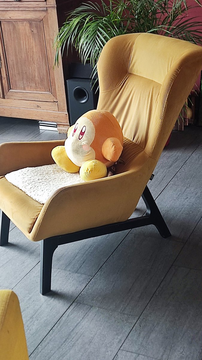 Mon père a gagné un waddle dee dans un UFO catcher au Japon il l'a mis dans le salon chuis mort