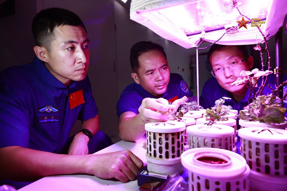 ChinaMilBugle's tweet image. Shenzhou-21: #China successfully launched Shenzhou-21 crewed spaceship on Oct. 31, sending three astronauts to its orbiting space station on a six-month mission. Check out what training these #astronauts have received for their journey.

#spacestation #spacecraft @CNSpaceStation
