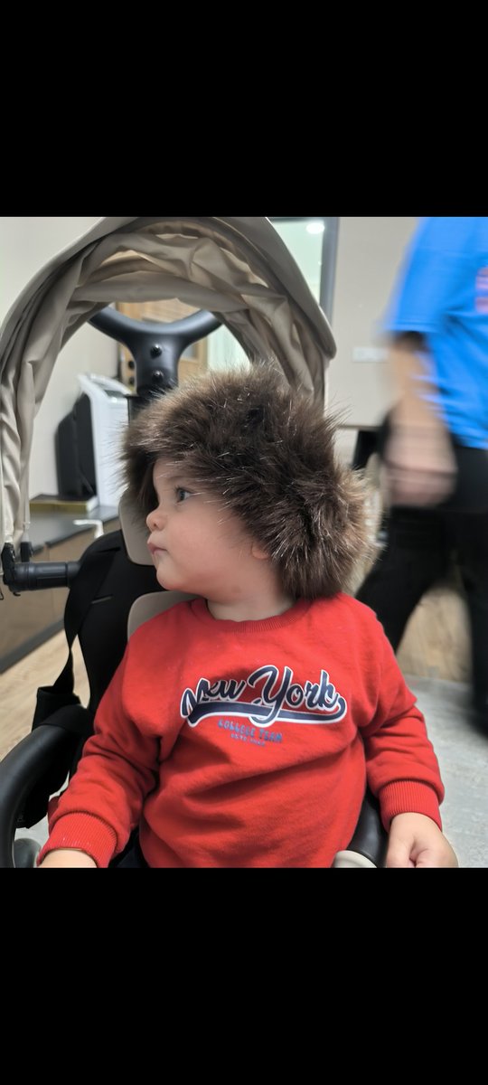 Toroslardan olduğu belli