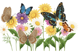 Friends of WHLibrary tweet media