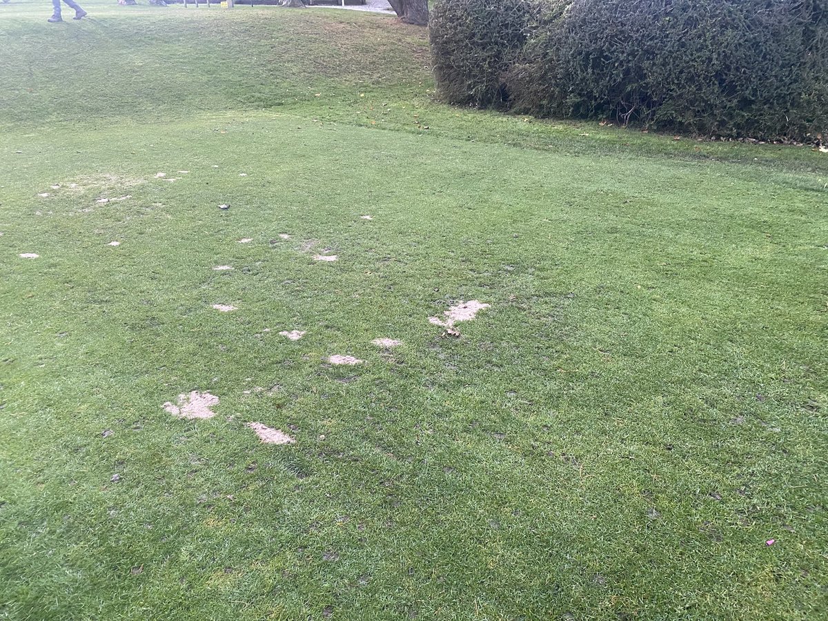 Anthony Lownds tweet media