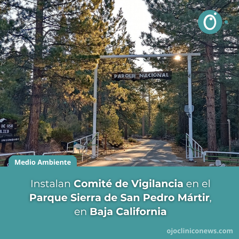 ojocliniconews's tweet image. 🌲 En el #ÁreaNaturalProtegida “Parque Nacional Sierra de San Pedro Mártir” 🏞️ se instaló un #CVAP, con el propósito de fortalecer la protección y #ConservaciónDeLosRecursosNaturales 💧🌳 mediante la colaboración con la sociedad 🤝.

👁️ Ponle Ojo a la nota ojocliniconews.com/instalan-comit…