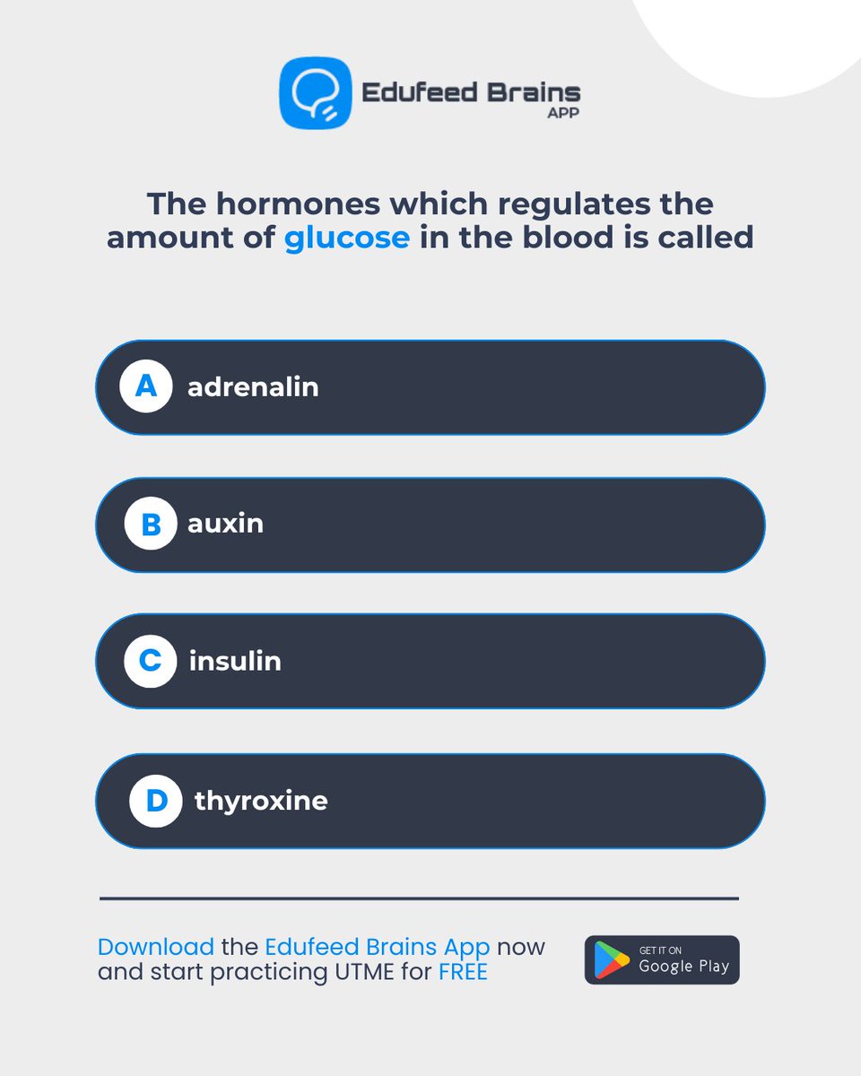 Edufeed Brains tweet media