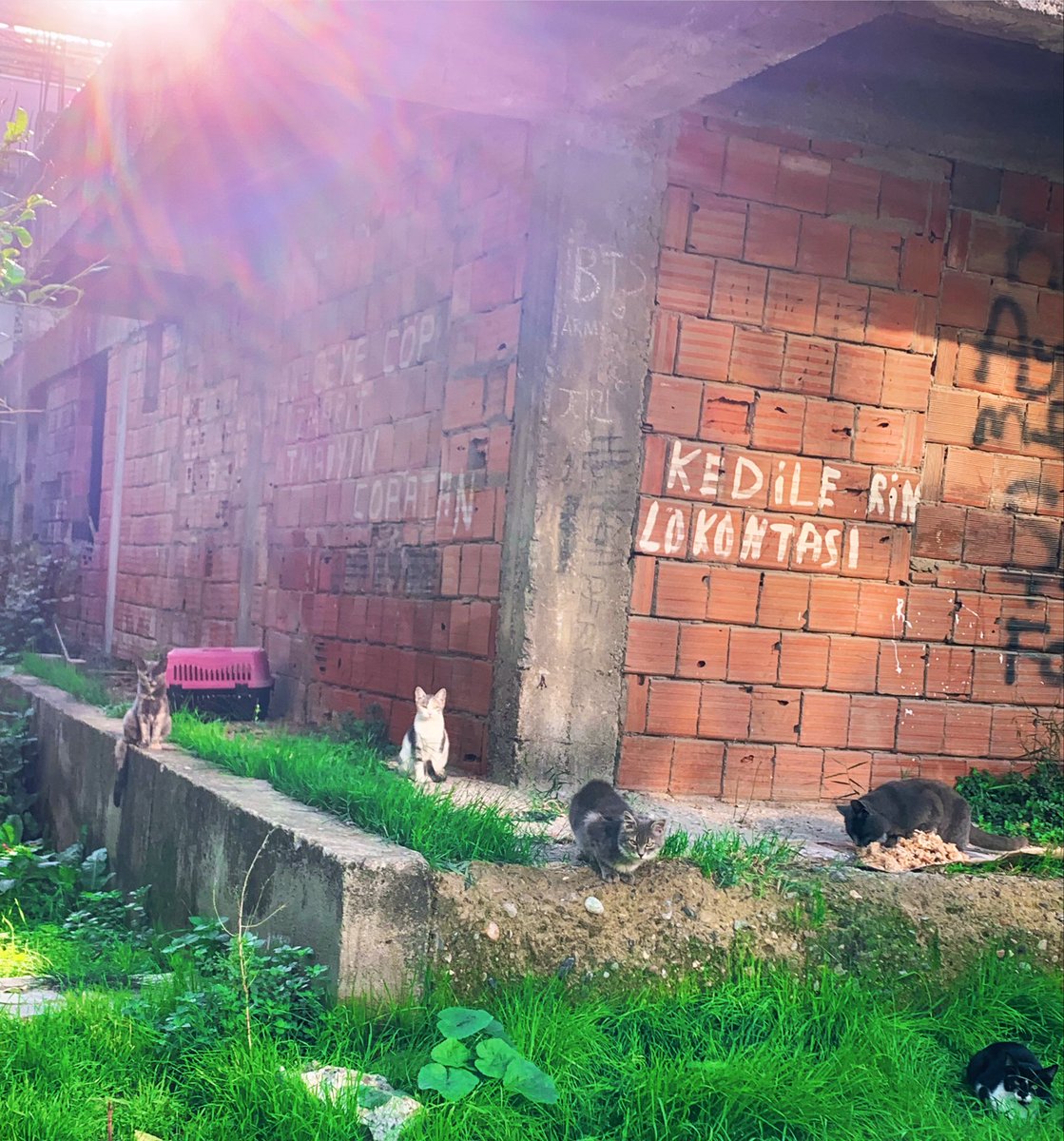 Hoş geldiniz 👨‍🍳