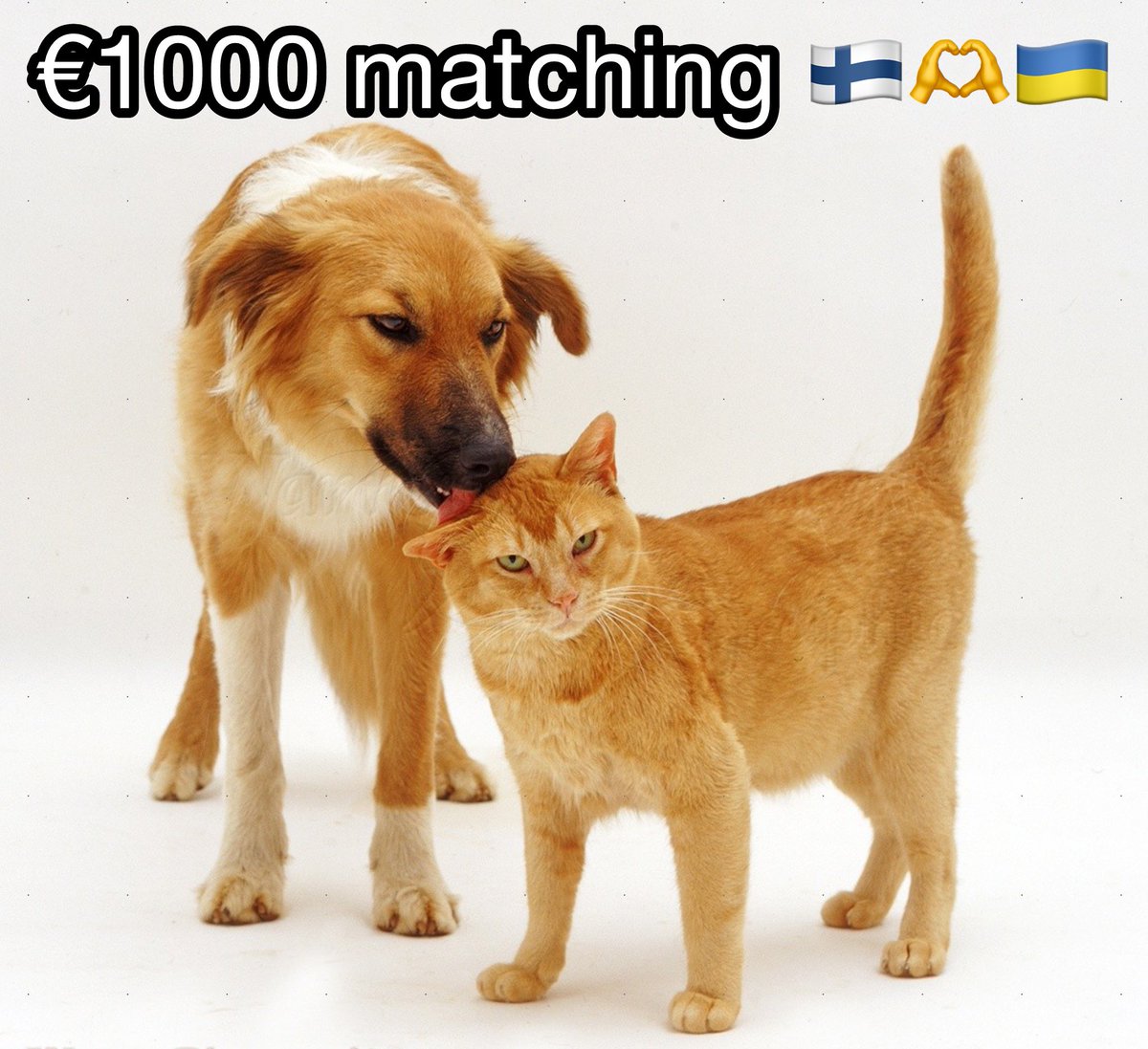 118th TDU needs a pickup and our Finnish friend proposed us a huge matching again🥹

send.monobank.ua/jar/3Zuzxk994D
PayPal v.titarenko@student.csn.khai.edu

We have one day to get €1000 matching, can we do it?🫣