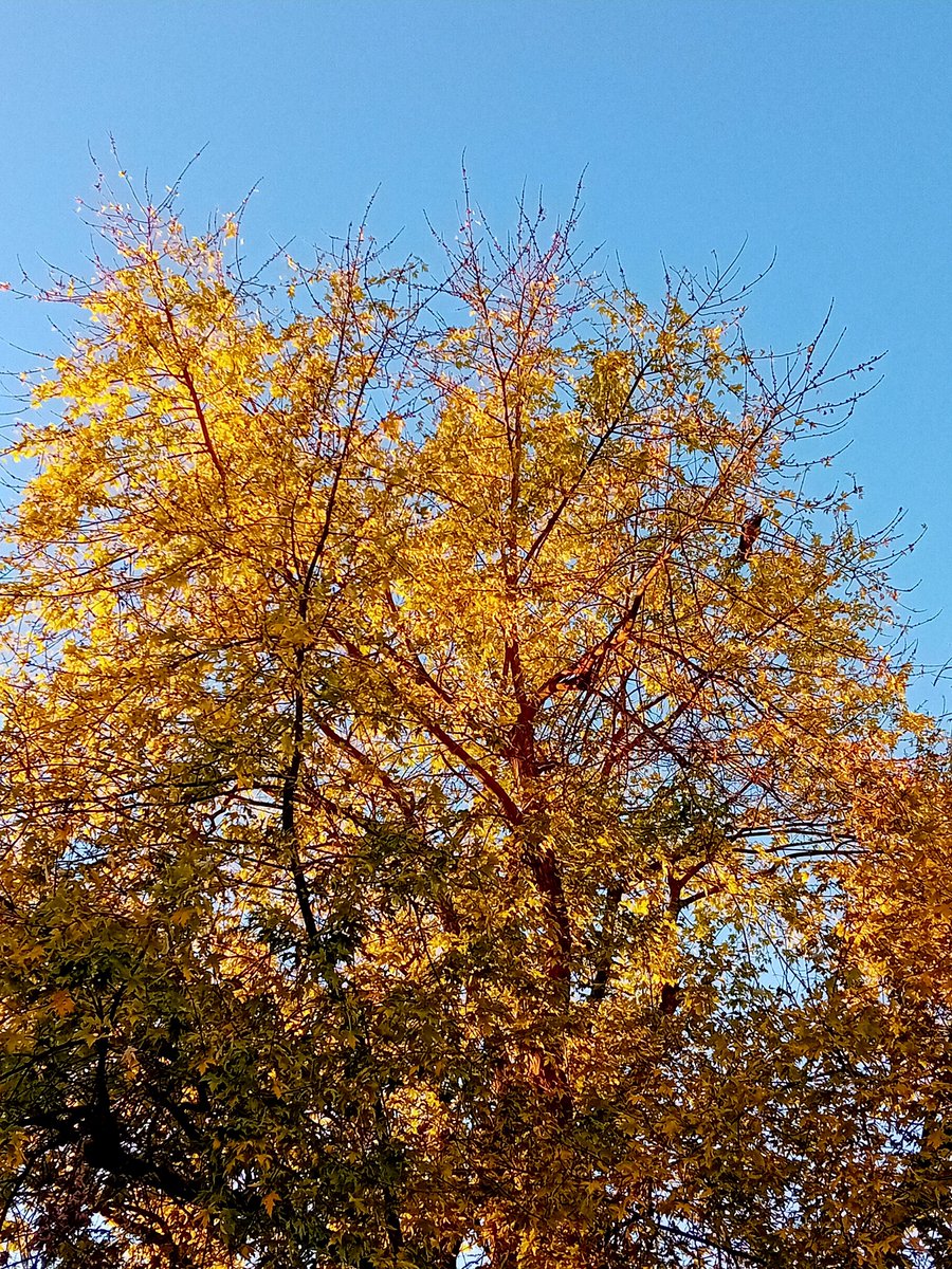 3. XI. 2025, 16:23

The watch.