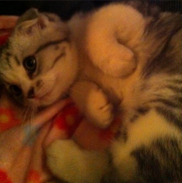 swiftie13coded's tweet image. Happy 14 years of this pic and the coming out of our cat lady