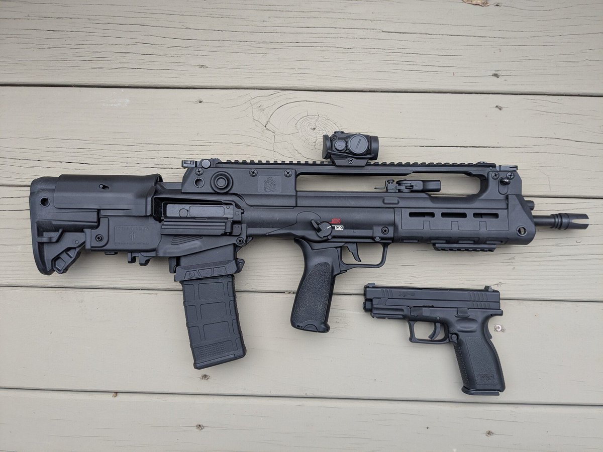 Everybody needs a friend.

Do you ever pair rifles with pistols?

VHS-2 &amp; HS200

(Hellion &amp; XD if you buy from Springfield)