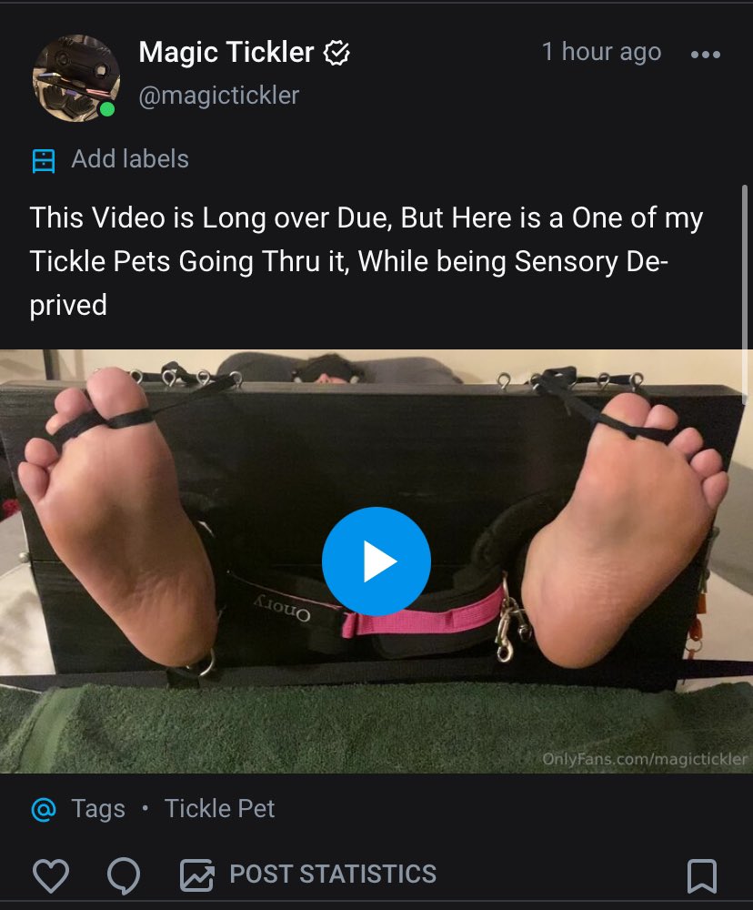 TheMagicTickler🎩😏🪶 tweet media