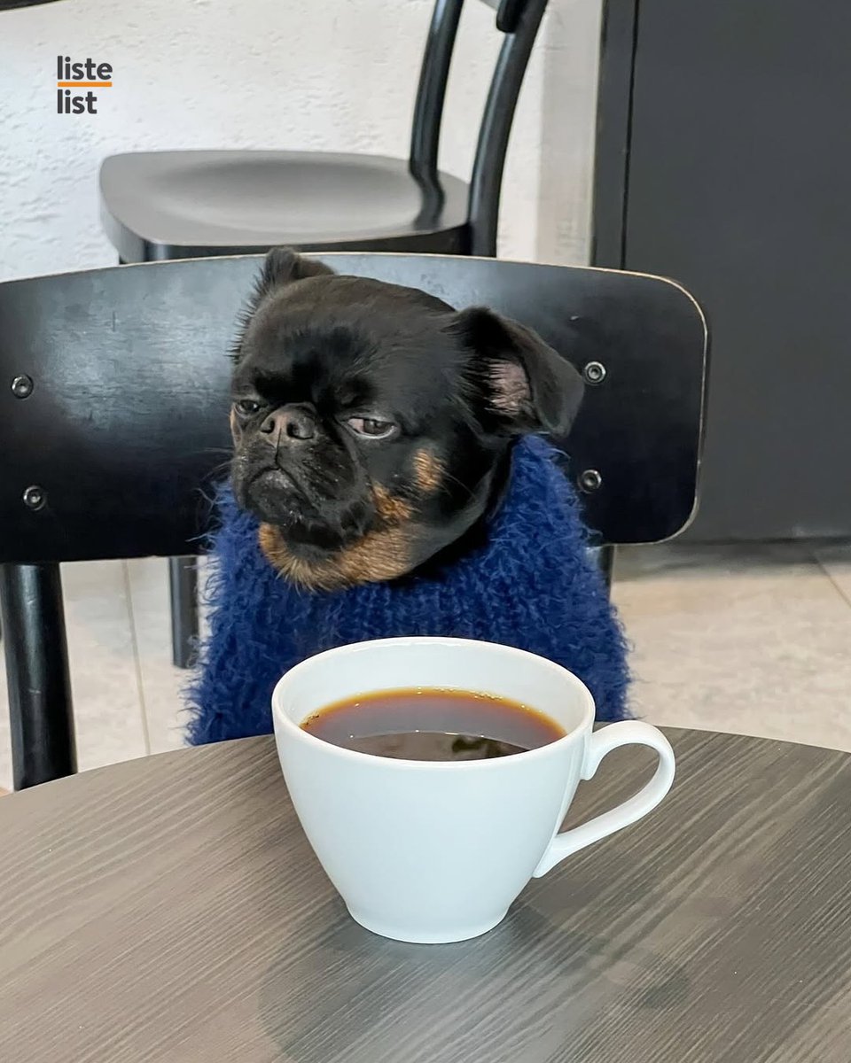 Tukli mushuklarning X flicker