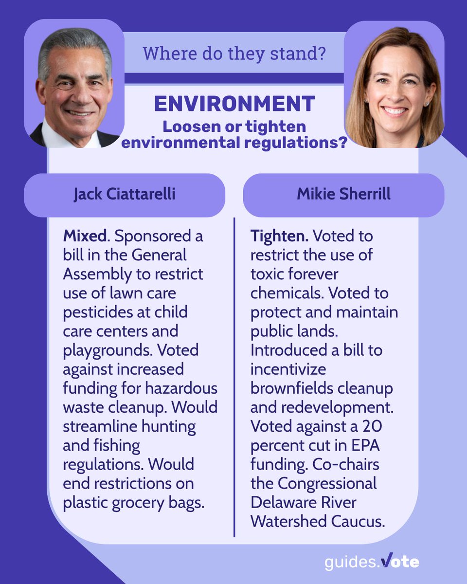 guides.vote tweet media