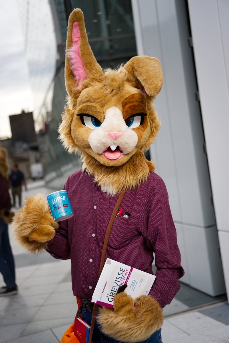 You're the new student ? 
Hurry up, you're late ! 
Taken during #FBL13, what a blast ! 
Best french convention ! 
Come and see by yourself !

📸 <a href="/irtimidlougon/">Dimitri Le Lougon</a> 
🧵 <a href="/HybridLFursuits/">HybridLabs Fursuits 🐺🐉</a>