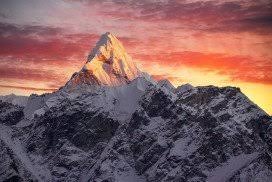 Ben Wiggins tweet media