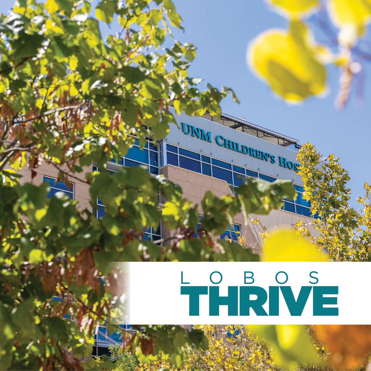 Lobos Thrive is back! 🐺 

Through Lobos Thrive, the UNM Foundation is supporting UNM and UNM Health in the fight against food and basic needs insecurity.

Join the mission and give today: unmfund.org/lobosthrive 
#LobosThrive #UNMFoundation #UNM #UNMHospitals #CommunitySupport