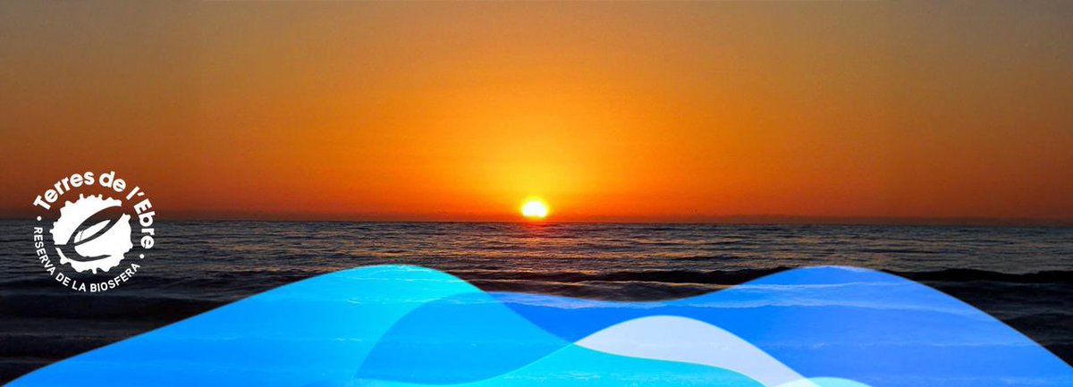 🌍 Avui, amb motiu del Dia Internacional de les Reserves de la Biosfera, des de la #RIDER1000 expressem la nostra satisfacció per celebrar l’edició 2026 a les Terres de l’Ebre, un territori reconegut com a Reserva de la Biosfera per la UNESCO.
🔗 bit.ly/r26-biosfera-c…