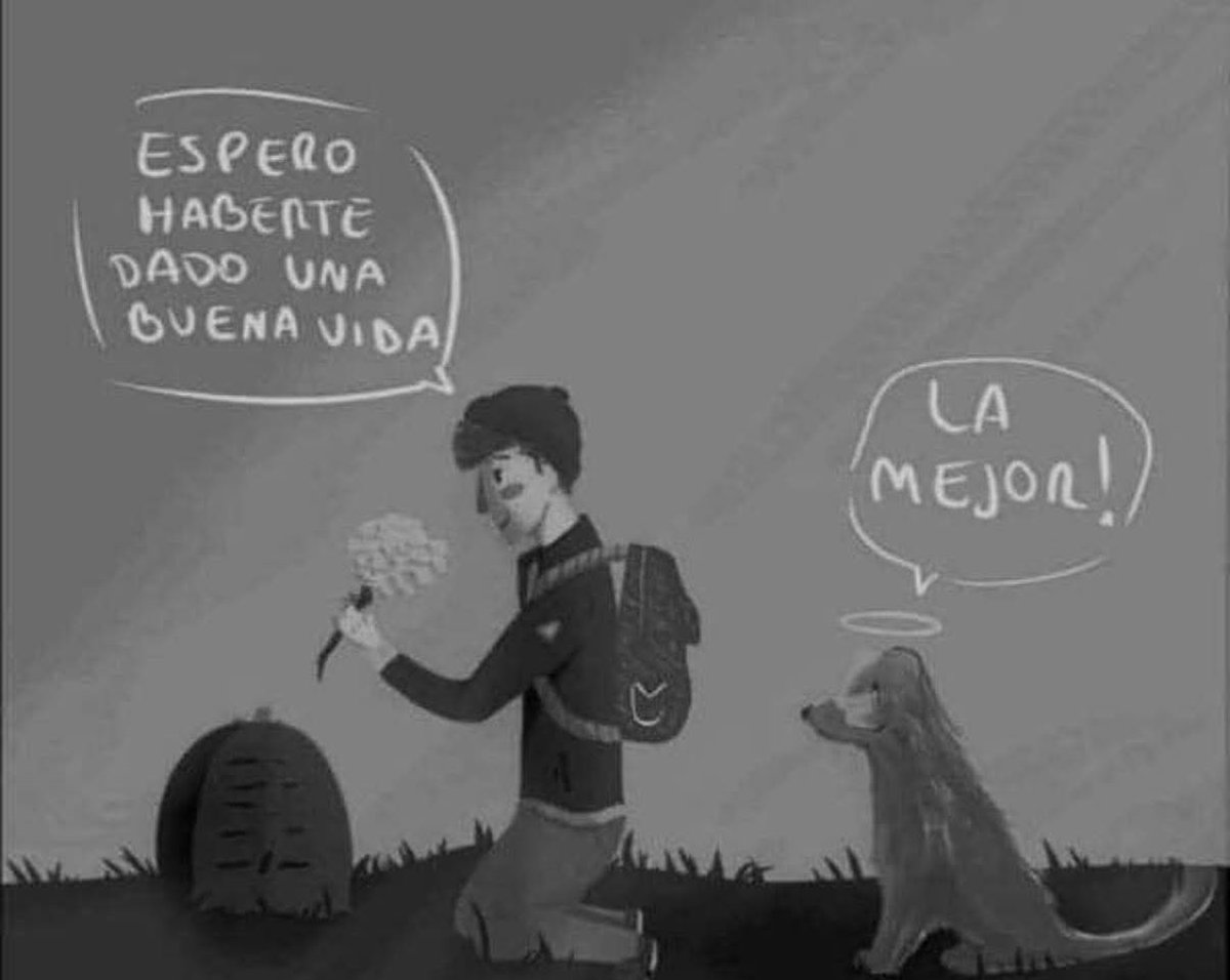 De acuerdo con el Tanatólogo <a href="/VerdeSelvah/">Selvah 𓂀</a>, la culpa ante la muerte de un perrito es una respuesta natural al amor y al vínculo afectivo que construimos con él. Como tutores, asumimos una función de cuidado total: somos responsables de su bienestar, su salud y su seguridad. Por