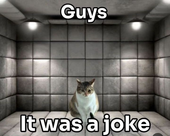 smol silly cat (@catsillyness) on Twitter photo 