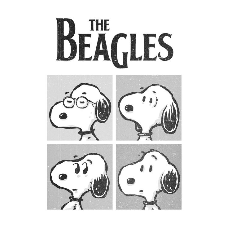 Snoopy tweet media