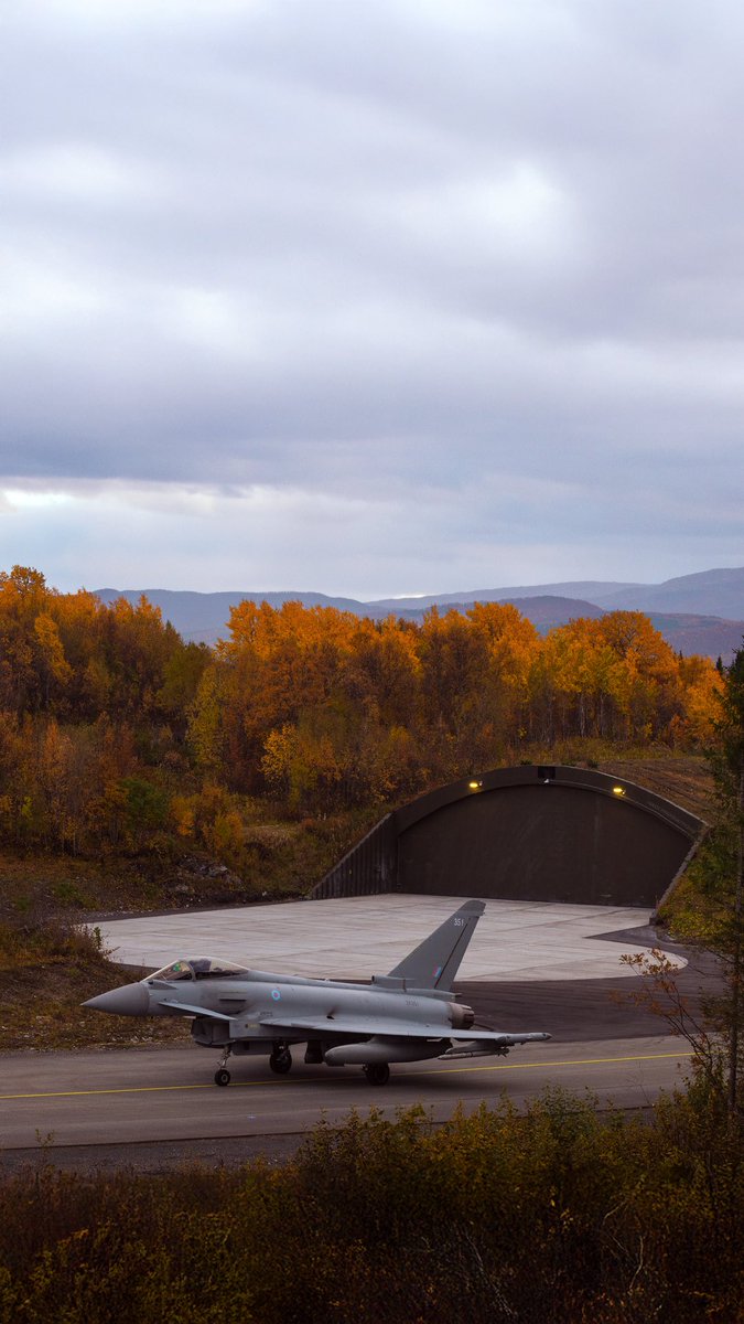 Haciproductions's tweet image. 