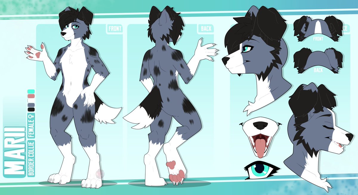 Reference Sheet completed for Marii the border collie! 🐾
.
#furry #furryartist #furryfandom