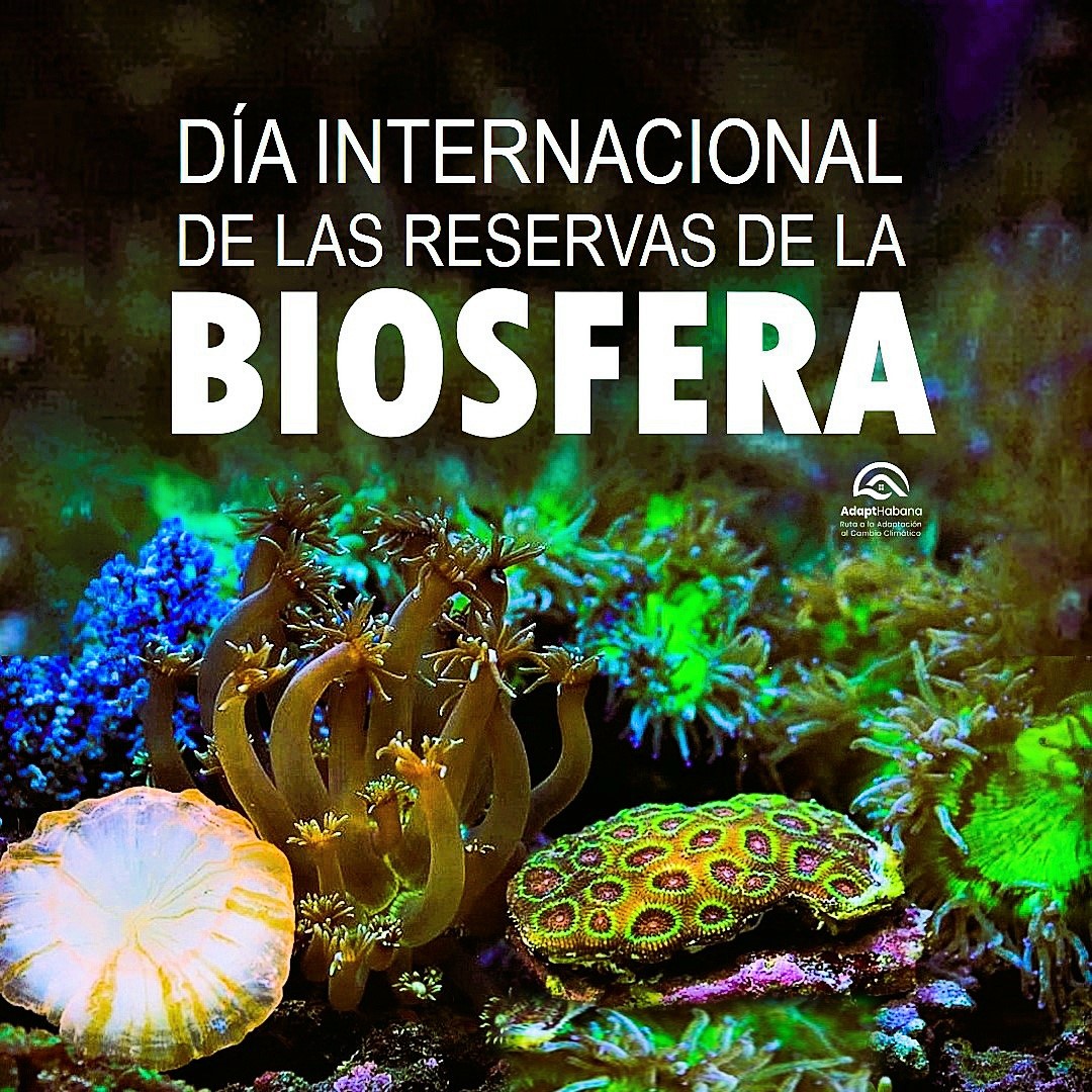 El Día Internacional de las Reservas de la Biosfera destaca la importancia de conservar la tierra, el mar y sus ecosistemas como una prioridad global. Protegerlos  garantiza recursos esenciales y construye un futuro más seguro para todas las personas.