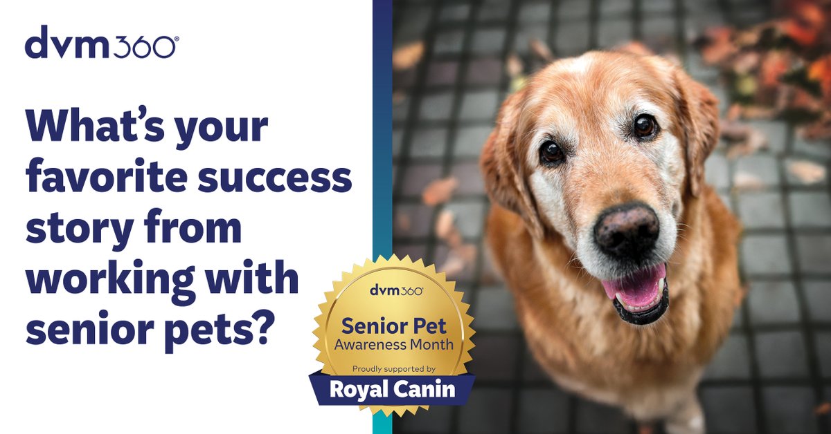 dvm360's tweet image. It’s #SeniorPetAwarenessMonth! “Senior” isn’t a number, it’s the last 25% of a pet’s expected lifespan, per #AAHA guidelines. Breed, size, and genetics all shape how pets age. Proactive care matters. #Fetchdvm360 #VetMed #PetHealth @RoyalCanin