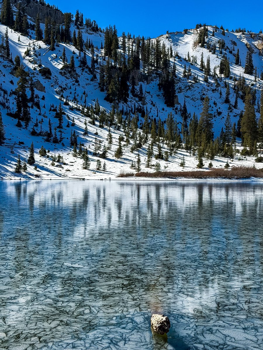 V_irvin_V's tweet image. The challenge is to see the world as a surface of infinite potential.