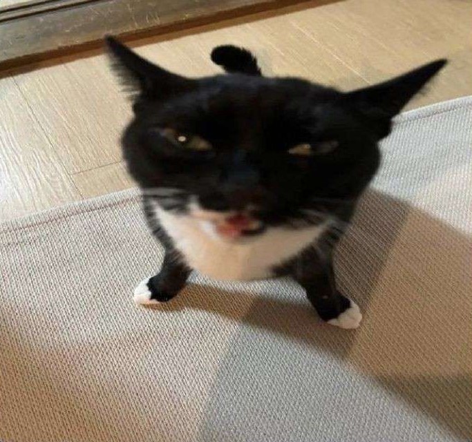 RegalSummer's tweet image. I can already tell this one is going to cause such a #lethalinjection gathering