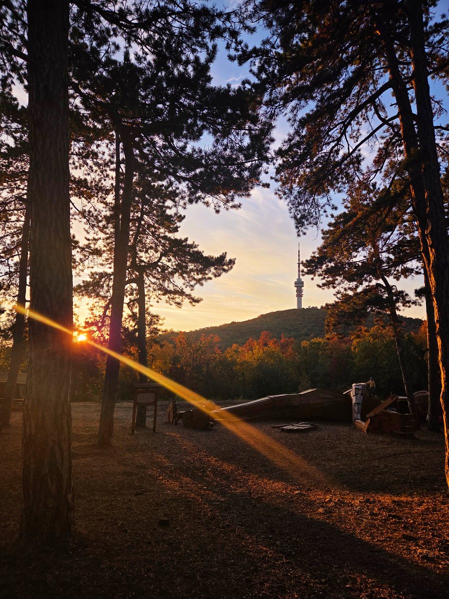 patricia_cseh's tweet image. Glorious sky 🍁✨️🤎