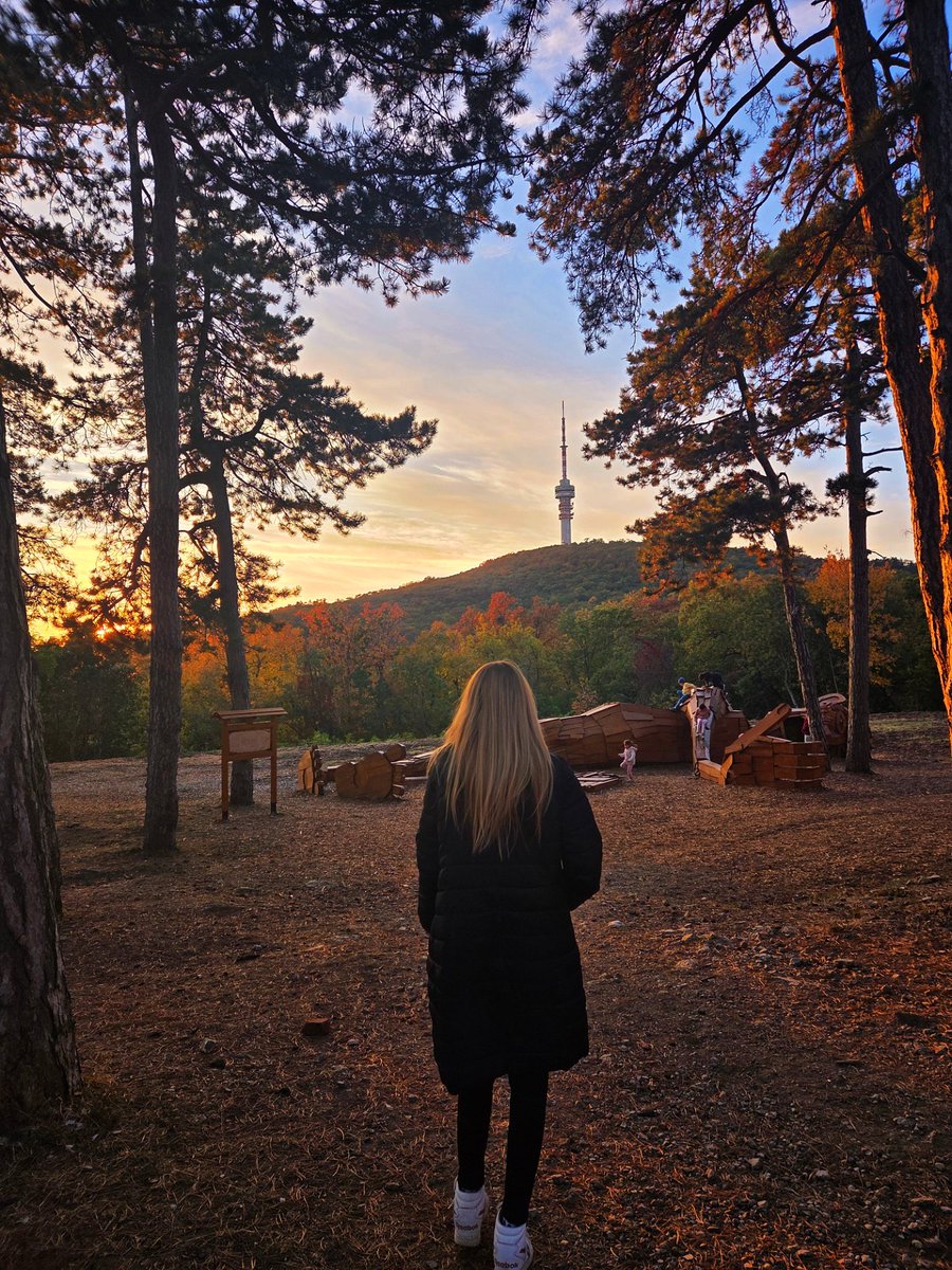 patricia_cseh's tweet image. Glorious sky 🍁✨️🤎