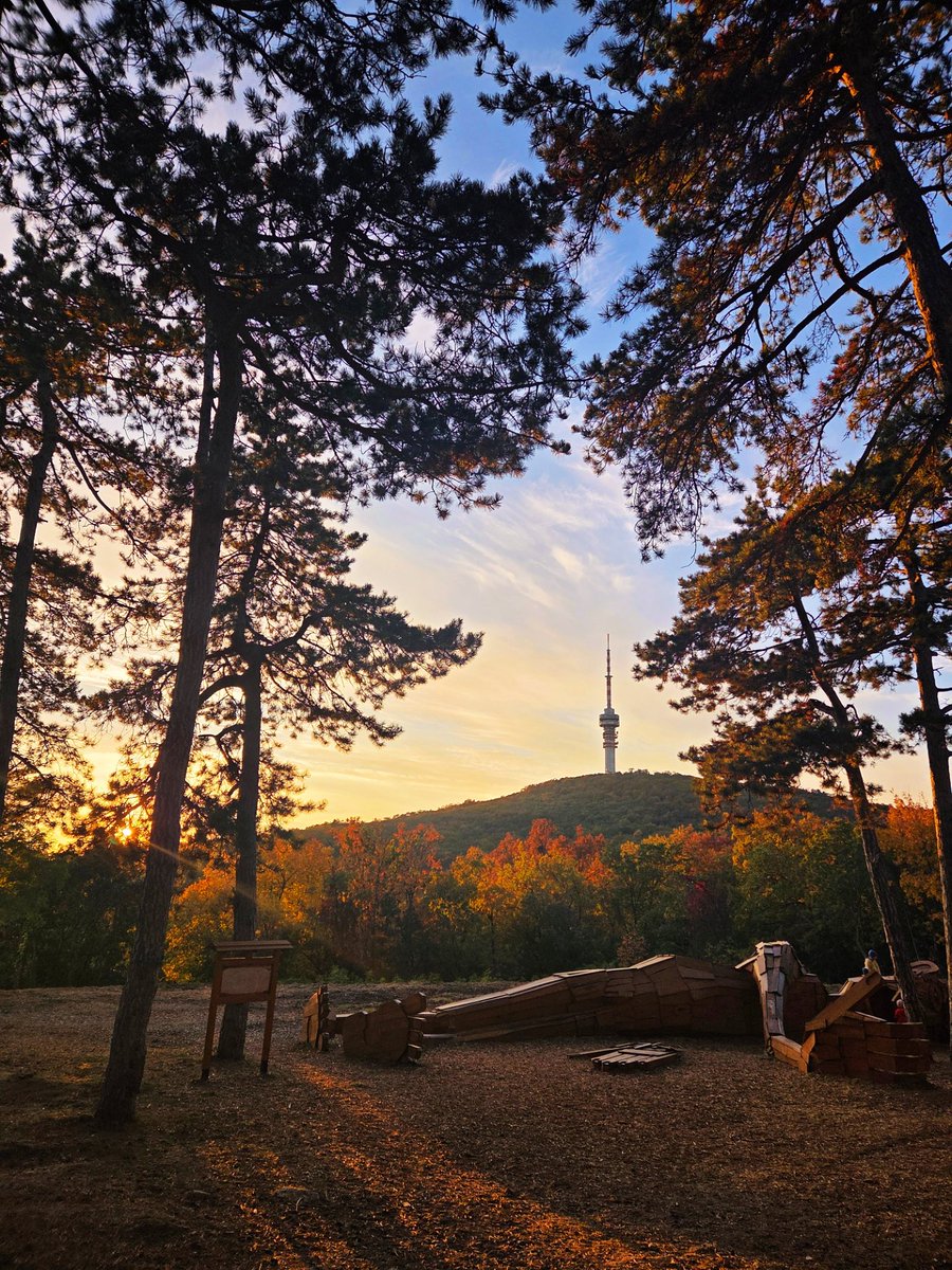 patricia_cseh's tweet image. Glorious sky 🍁✨️🤎