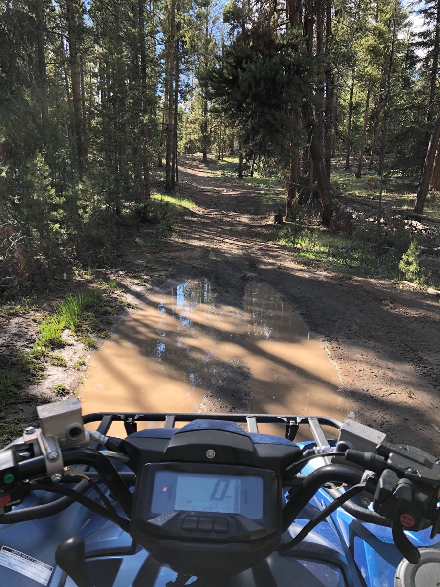 ATV ESCAPE tweet media