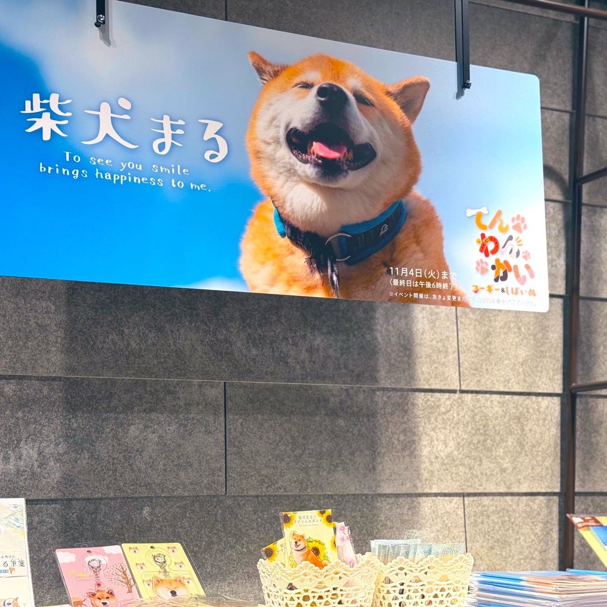 ちゃこ｜11/9梅田amホール (@chaco_designer) / Posts / X