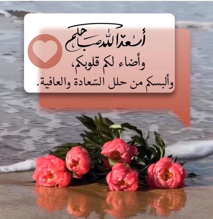 صباحُ الأمل بِـ الله والطمأنينةُ في ظله والثقة بما عندهاللهُم اكتُب لي و لكُم الخير في هذا الصباح

#صباح_الخير