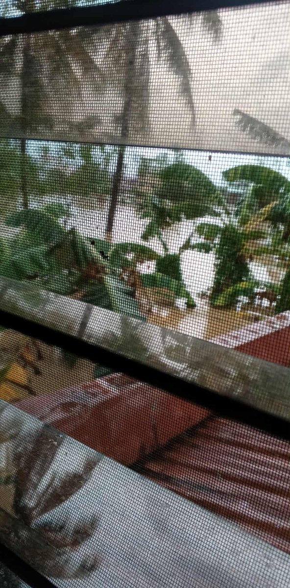 I am busy tonight trying to find help for a nephew and his neighbors in Consolacion, Cebu, Philippines where #typhoon #Tino #Kalmaegi has flooded the area.  I am not sure if this is flash flooding or storm surge.  This location is only 2 meters above sea level, but there is also