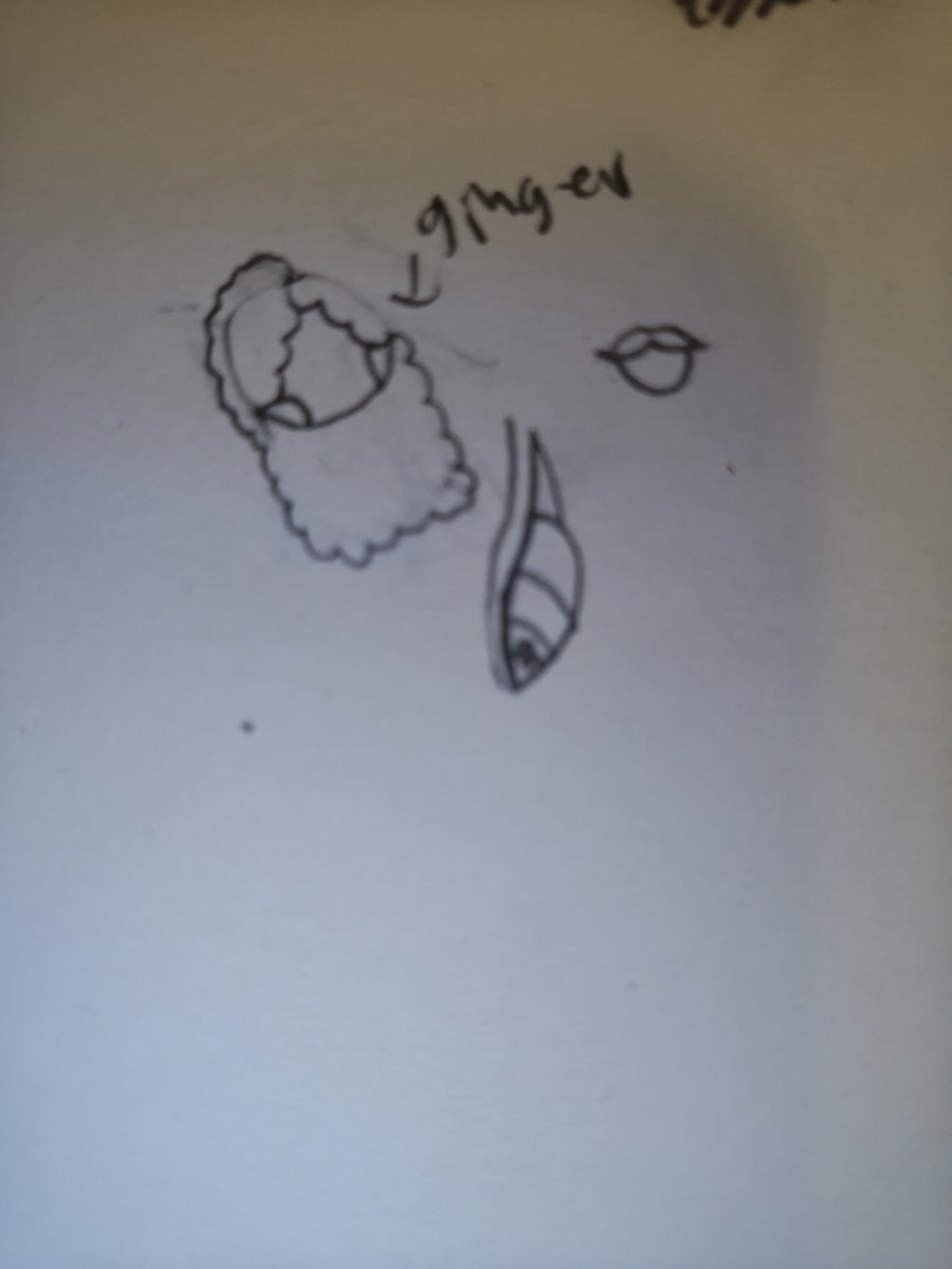 sillyclipsy's tweet image. Doodled little sprout,cosmo and ginger in my notebook :3

#dw #dandysworld #dwsprout #dwginger #dwcosmo #dandysworldsprout #dandysworldginger #dandysworldcosmo