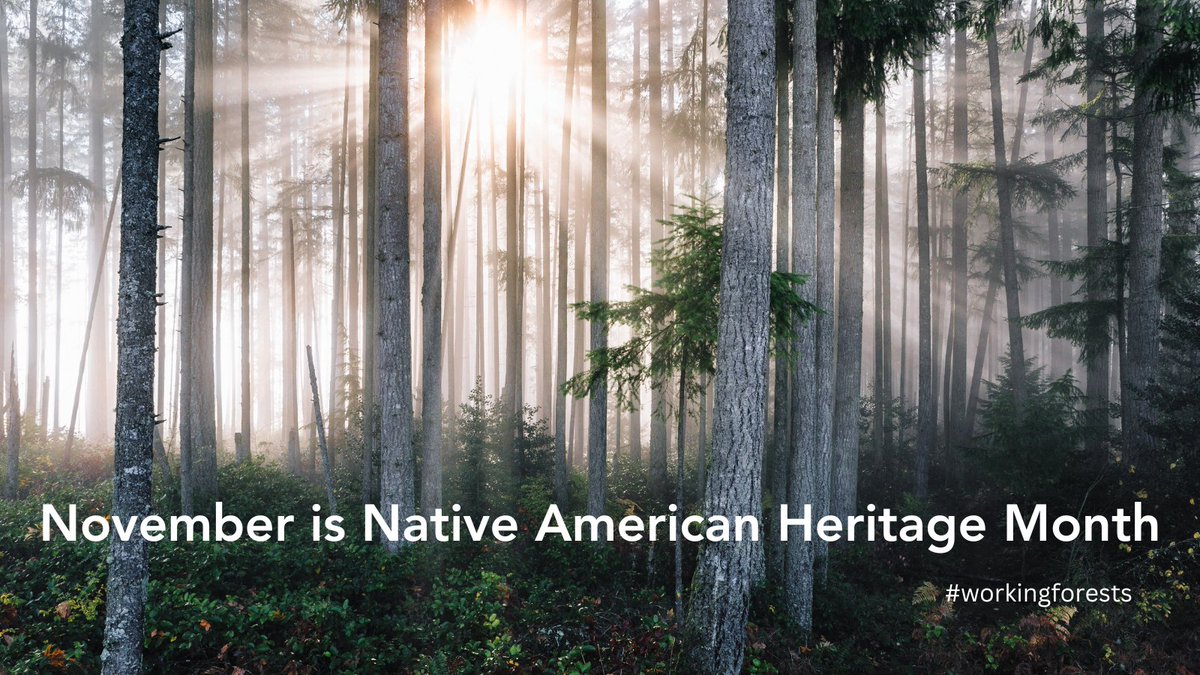 WAWorkingForest's tweet photo. Tribes have long led the way in forestland stewardship and natural resource management. November is Native American Heritage Month and an ideal time to recognize the contributions of American Indians in the forestry sector. #NativeAmericanHeritageMonth #NAHM #workingforest https://t.co/mff5Wzywzu