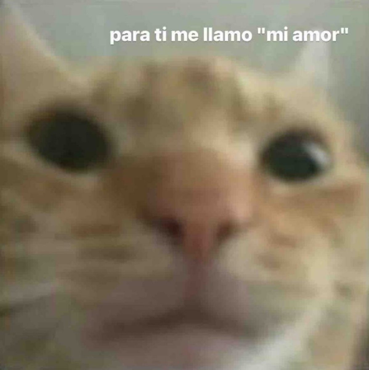 Guarromantico_'s tweet photo. Mi pareja: *me llama por mi nombre*

Automáticamente yo: https://t.co/WjlxGXHqeu