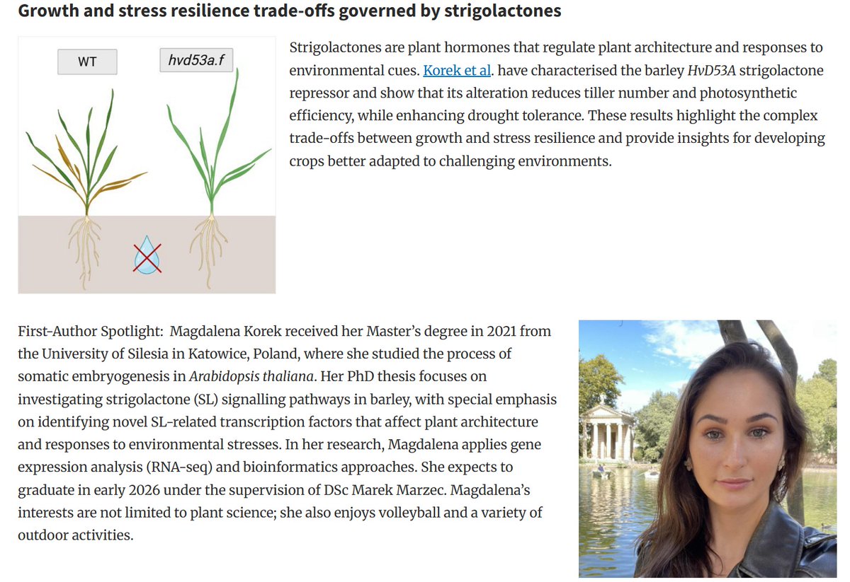 PCP_EIC's tweet photo. 📗PCP latest Research Highlight 1/3💐
✨Open Access
'Growth and stress resilience trade-offs governed by strigolactones'
✨First-Author Spotlight: Magdalena Korek
Read Article on: https://t.co/2wpolQfwbV
#Barley #DroughtTolerance #Strigolactone #Plantsci @JSPP_news https://t.co/LsrJrhjWQK