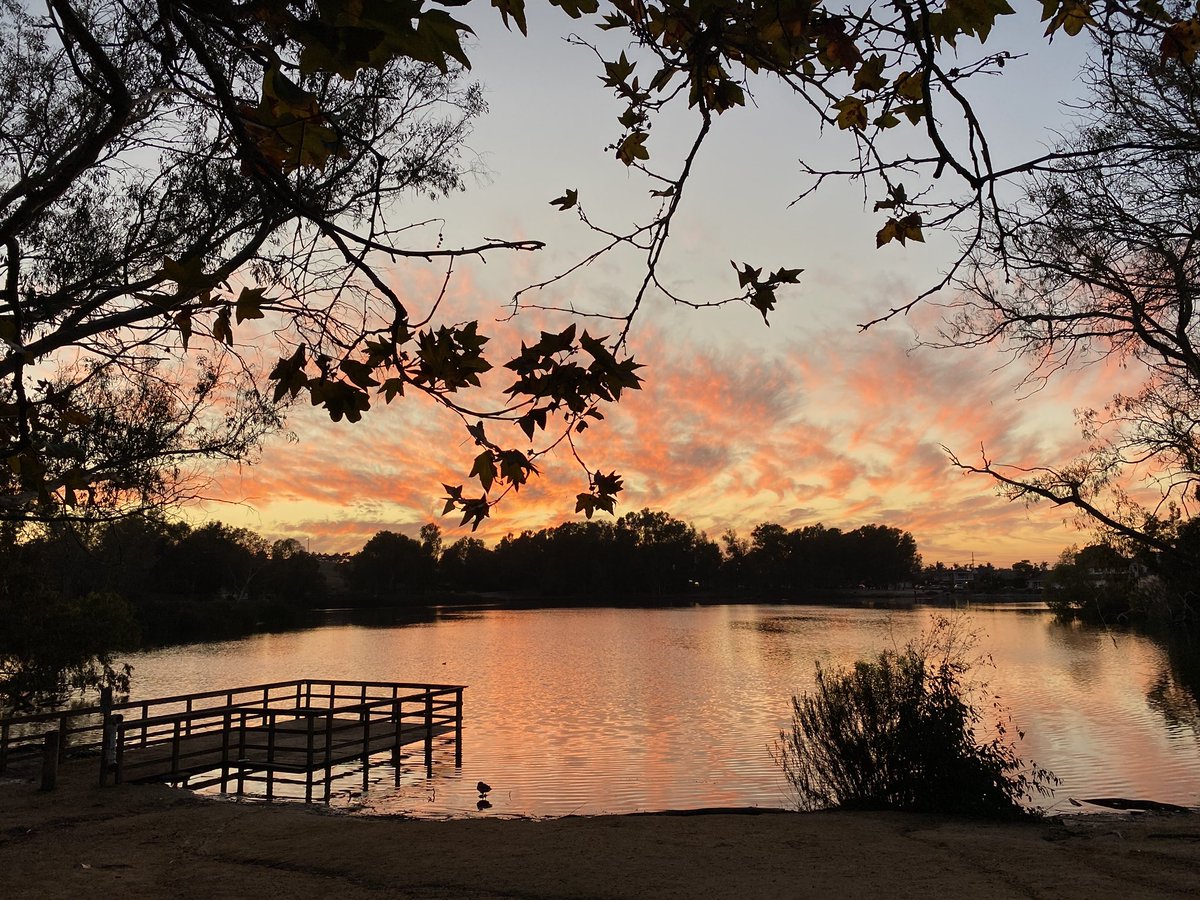 Steven Morris tweet media