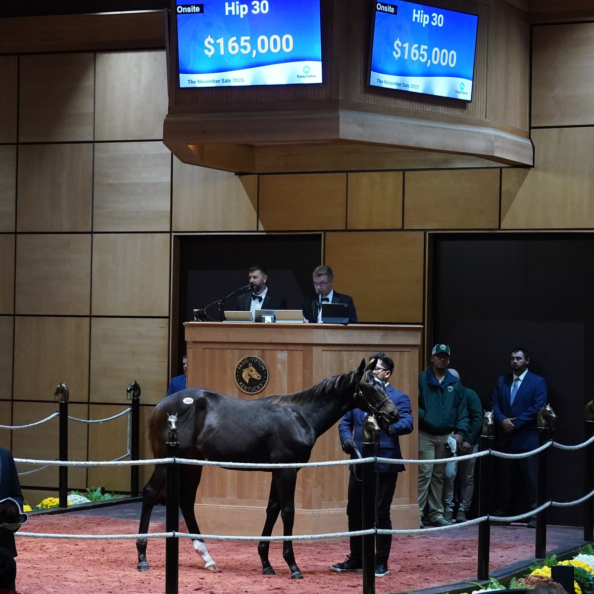 G1 winner ARABIAN LION was represented at <a href="/FasigTiptonCo/">Fasig-Tipton</a> by this $165,000 colt from his debut crop of weanlings.

Bred by BHMFR, LLC, the strapping colt was purchased by Big Bear Bloodstock from the consignment of <a href="/grovendalesales/">Grovendalesales</a> <a href="/JamesBKeogh/">James B. Keogh at Grovendale</a> 👏 #ThePride 🦁