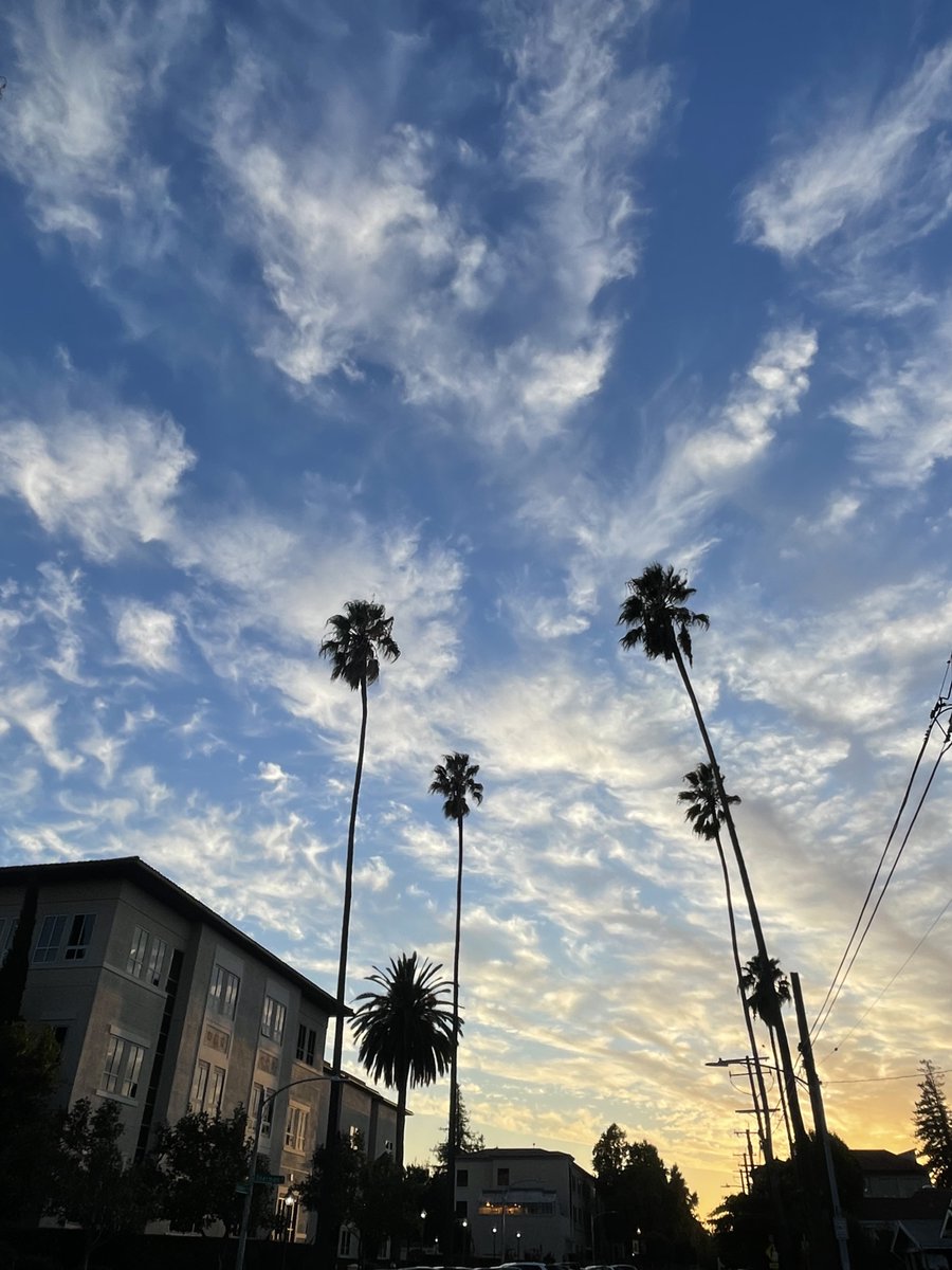 Just another picture-perfect evening around campus 🌴 ☀️ 🌆 

#SantaClaraLeavey #LifeAtSCU