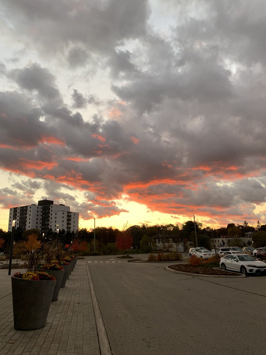 Unpopular Take: I don’t mind it being dark at 5pm if I can see this leaving work every day.