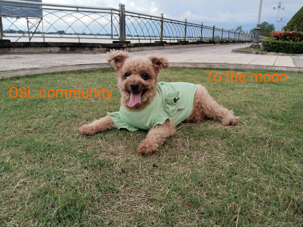 ⚡️ Catch 3 World Global at OSL PayFi Rewrite!

🚀 Insights, energy, and community vibes all around: borderless finance in action