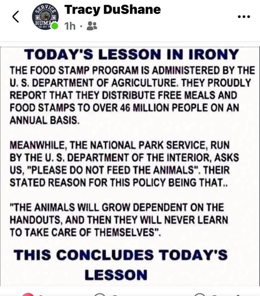 RobbC2024's tweet image. 