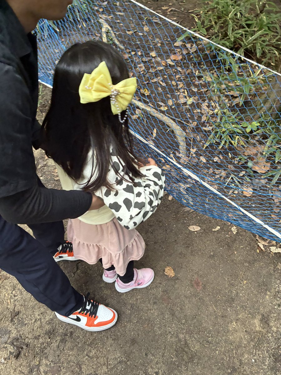 121506kf's tweet photo. モクモクファーム🐮 https://t.co/zMlxQrI9pQ