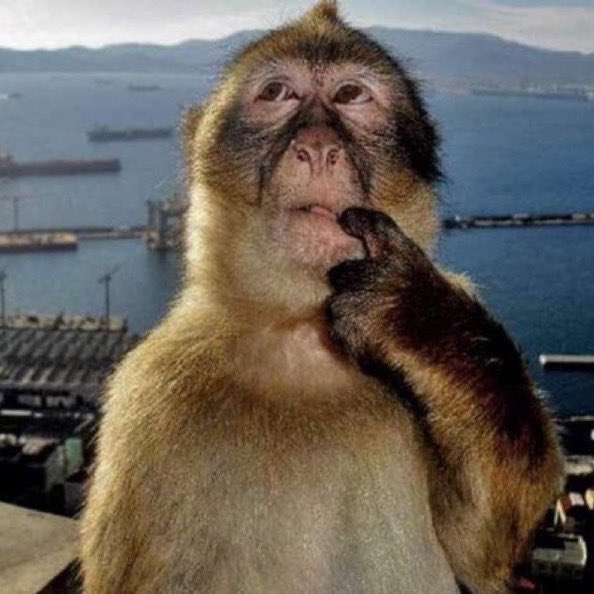 bemuiofficial's tweet image. Hari ini ada apa, ya?