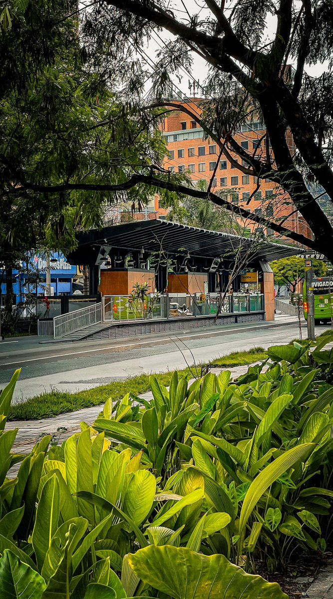 𝗘𝗖𝗢𝗲𝘀𝘁𝗮𝗰𝗶𝗼𝗻𝗲𝘀 𝗕𝗥𝗧 𝗠𝗘𝗧𝗥𝗢𝗣𝗟𝗨́𝗦
 🍃🌳 Esperar el trasporte público entre jardines y árboles 🌳 🌿<a href="/Metroplus_SA/">Metroplús S.A.</a> <a href="/metrodemedellin/">Metro de Medellín 💚 30 años #ALoMetro</a> 

ECO-STATIONS BRT Green axes for sustainable urban mobility

Diseño: <a href="/arquiurbanotau/">ARQUIURBANO Taller ®️</a>